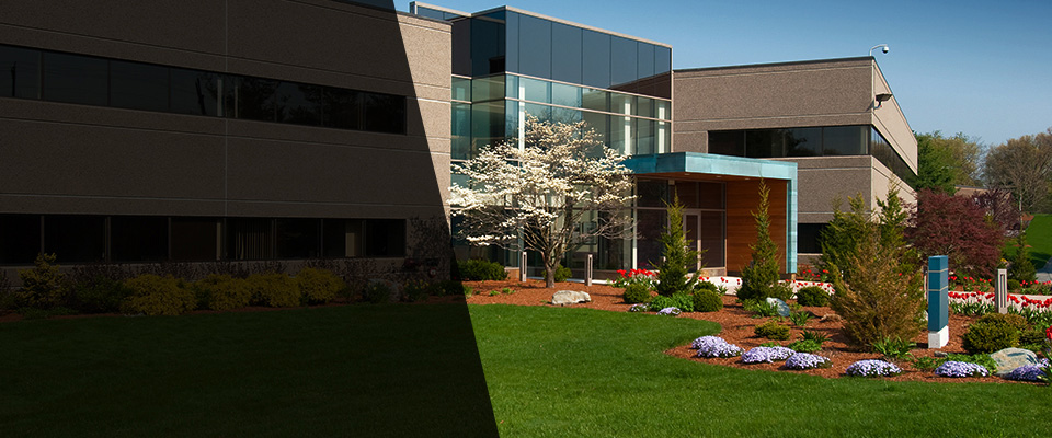 Half Moon Bay Landscapers